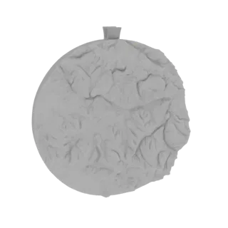 Modelo 3D de un colgante circular con una textura orgánica detallada y un aro en la parte superior, presentado sobre un fondo