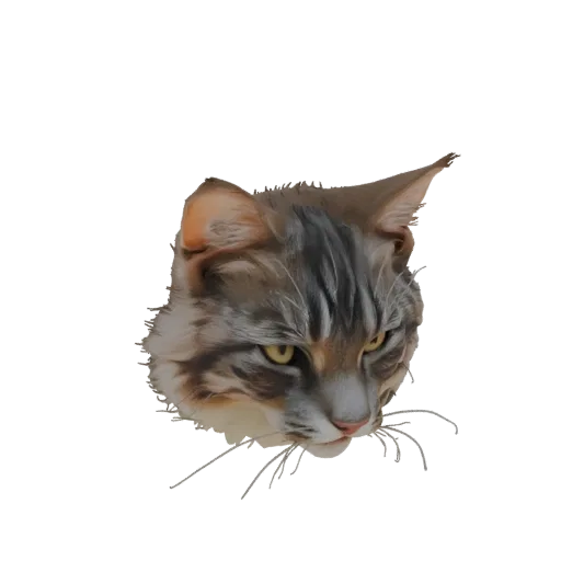 3D model of a Maine Coon cat's head with detailed fur, tufted ears, and yellow eyes, looking to the right.