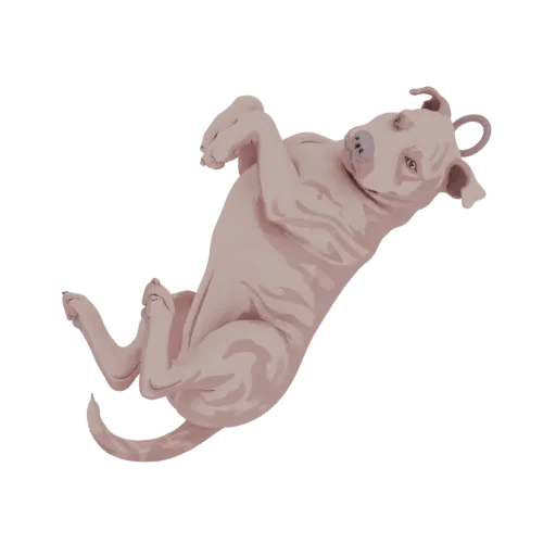 3D model of a light-colored pitbull puppy lying on its back with paws in the air, looking up.