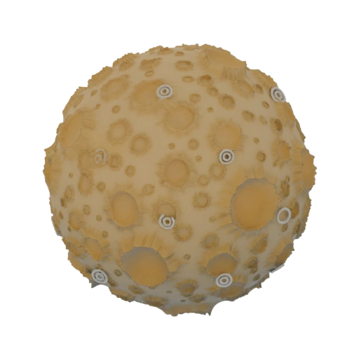 Cratered Planetoid with Ringed Craters