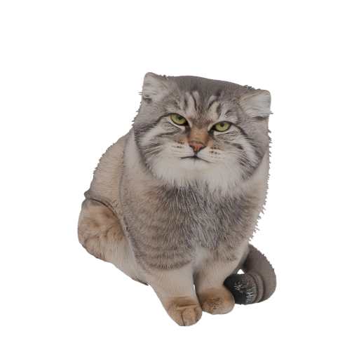 Pallas's Cat 3D Model