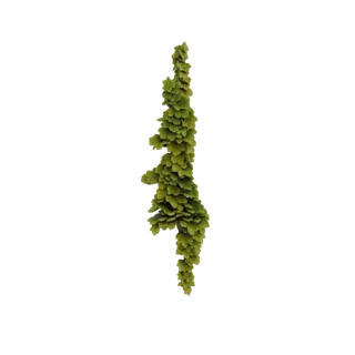 A 3D model of a hanging garland composed of numerous small, green succulent leaves cascading downwards.