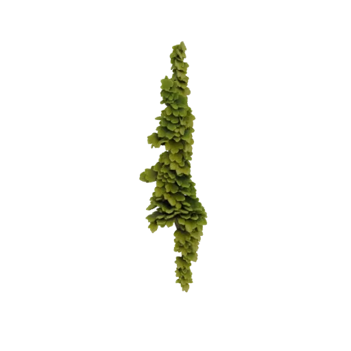 Un modèle 3D de guirlande suspendue composée de nombreuses petites feuilles de succulentes vertes tombant vers le bas.