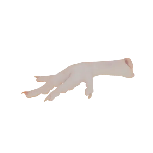 3D model of a pale, elegant hand with sharp, pointed claws extending from the fingertips against a black background.