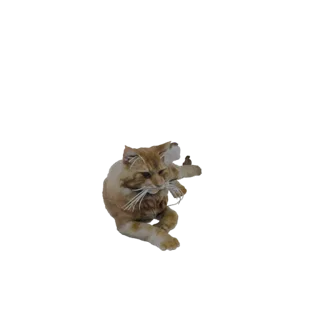3D model of an orange tabby cat lying down with its head turned and paws extended, showcasing realistic fur texture and marki