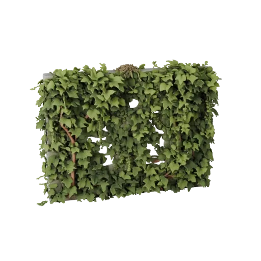 Ivy Covered Wall Vegetation Realistic 3D model, three-quarter environment render, showing leaf clusters, terrain detail.