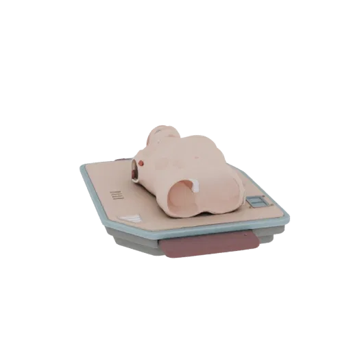 Surgical CPR Torso Trainer High Poly 3D model, close-up studio render, showing neutral plastics, training device layout.