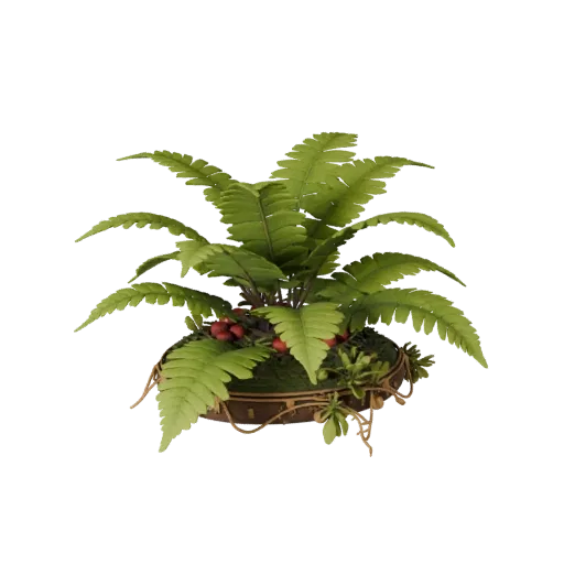 Fern Undergrowth Patch Unity 3D model, isometric viewport view, showing leaf clusters, layered vegetation clusters.
