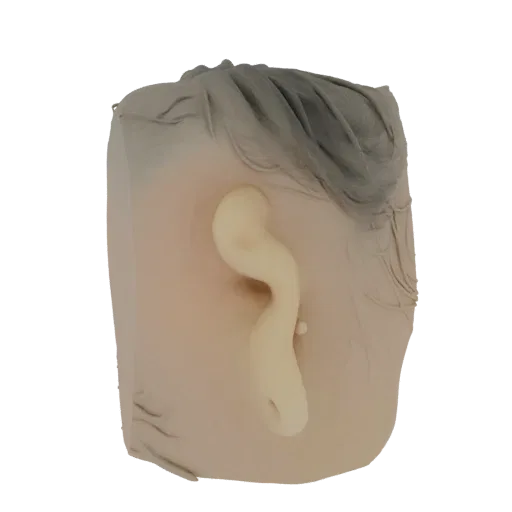 3D-Modell eines realistischen menschlichen Ohrs mit detaillierter Modellierung und feinen Haarsträhnen, präsentiert vor weiße