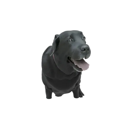 3D model of a black Labrador dog with its tongue out, wearing a pink collar, against a white background.