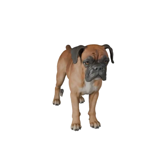 Boxer Dog 3D Model for Unity - Game Ready Asset, FBX | Royalty-Free