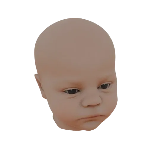 Ein 3D-Render eines Babykopfes mit neutralem Ausdruck und glatter Hauttextur, isoliert auf weißem Hintergrund.