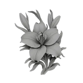3D model of a grey lily flower with dewdrops and buds, presented on a white background.