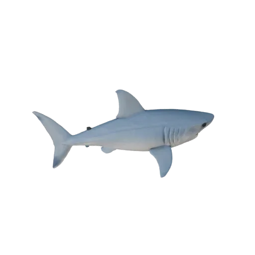 Modelo 3D STL de Tubarão Branco de Alta Poligonalidade, vista de exibição isométrica, figura animal pronta para impressão com