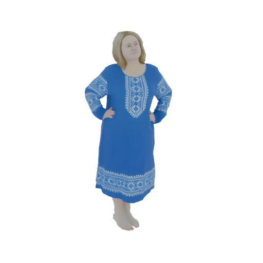 Woman in Blue Embroidered Dress
