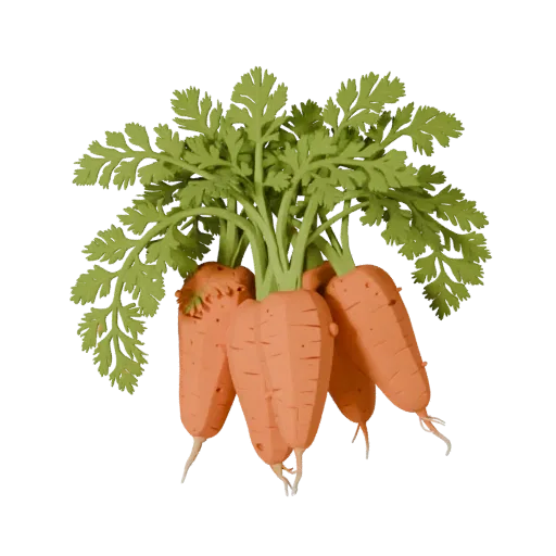 Garden Carrot Bunch Stylized 3D model, stylized isometric render, showing leaf veins, clear vegetable silhouettes.