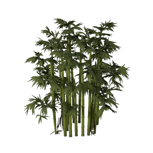 Bamboo Thicket Cluster Realistic 3D model, three-quarter environment render, showing leaf clusters, terrain detail.