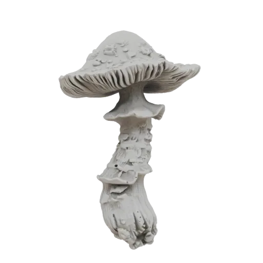 A detailed 3D model of a gnarled mushroom with a twisted stem and textured cap, presented against a black background.