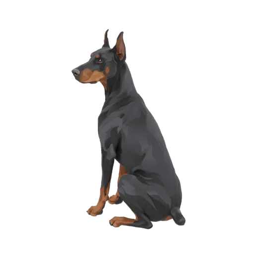 A 3D model of a Doberman Pinscher dog sitting attentively, with black fur and tan markings, against a white background.