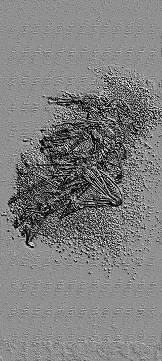 Modelo 3D de bajo relieve "Esqueleto en montón de hojas" con textura gris, mostrando un esqueleto detallado entre hojas caída
