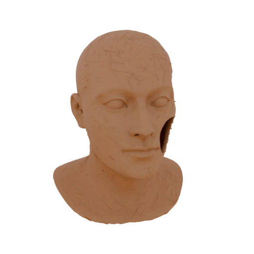 Sculpture Head with Cut Cheek