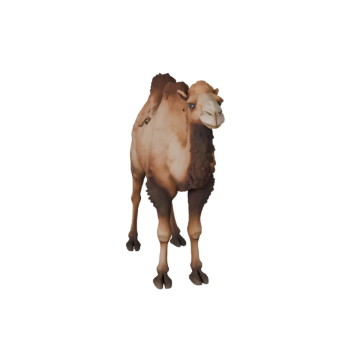 Modello 3D di Cammello Realistico - Asset PBR Rigged per Giochi | Royalty-Free