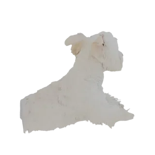 3D model of a fluffy white dog sitting down, viewed from the side.
