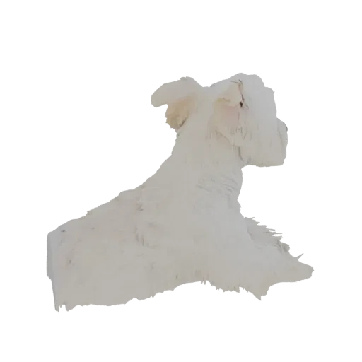 Modelo 3D de perro blanco peludo sentado, visto de lado.
