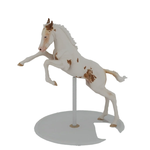 Rearing Pinto Foal 3D Model