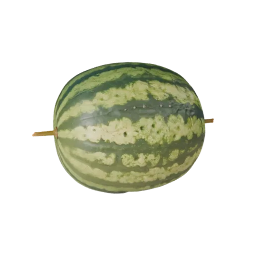 Modelo 3D de melancia, vista frontal em três quartos, viewport Unity, mostrando poros da casca, formas reconhecíveis da fruta