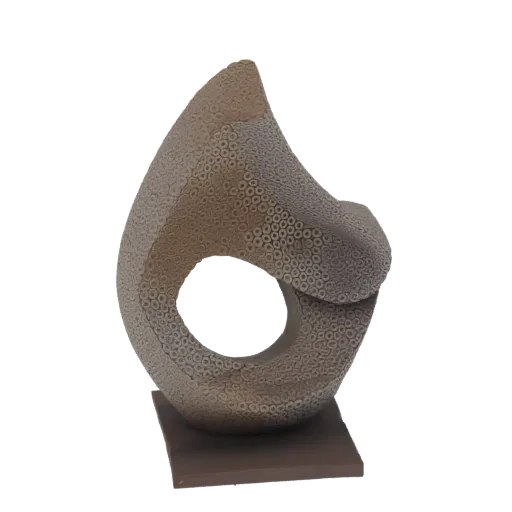 3D model render of an abstract organic sculpture with a textured surface and a large central opening, displayed on a dark squ