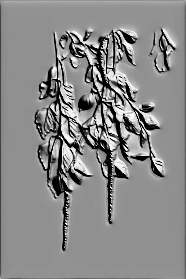 3D-Modell des Basreliefs "Blühender Zweig" mit Blättern und Früchten, in Hochrelief ausgeführt.