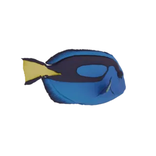 3D model of a Blue Tang fish, a vibrant blue marine creature with yellow fins, set against a black background.
