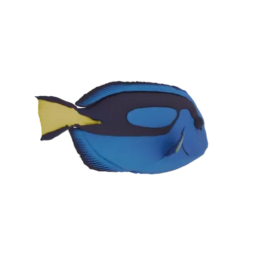 3D model of a Blue Tang fish, a vibrant blue marine creature with yellow fins, set against a black background.