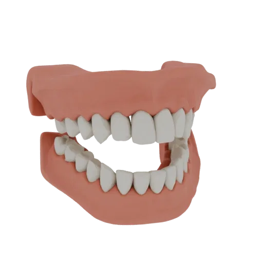 3D model of a human jaw with sharp, white teeth and pink gums, on a white background