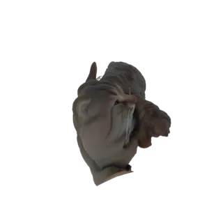 3D-Modell-Rendering einer grotesken Gesichts-Skulptur mit fließenden, detaillierten Texturen und einem beunruhigenden, künstl