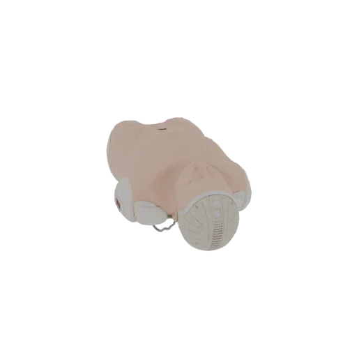 Nursing CPR Torso Trainer Realistic 3D model, three-quarter studio render, showing neutral plastics, form detail.