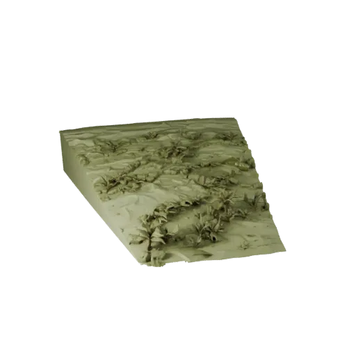 Misty Swamp Biome High Poly 3D model, close-up cinematic environment render, showing terrain layers, mud shelves.