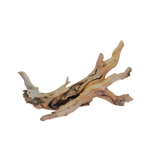 Driftwood Branch 3D Model