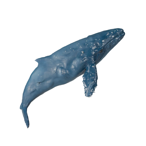 Modello 3D di Balena Beluga per Unity - Asset Pronto per il Gioco, FBX | PBR