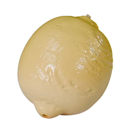 Lemon Realistic 3D model, three-quarter studio render, showing skin pores, recognizable fruit forms.