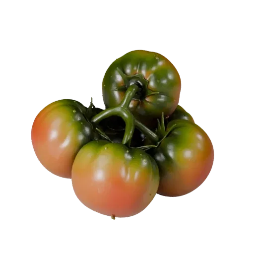 Market Tomato Cluster 3D model, three-quarter front view, AR viewer studio render, showing leaf veins, form detail.