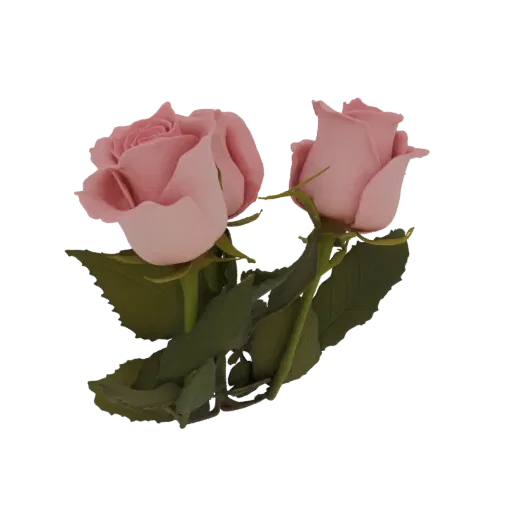 A 3D render of two delicate pink roses with detailed green leaves against a black background.