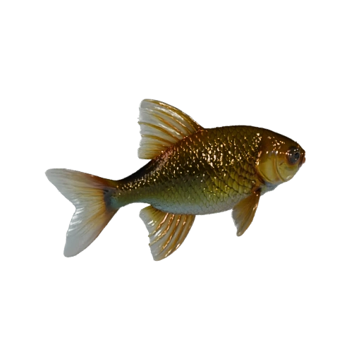 Modello 3D Pesce Rosso per Unity - Asset Pronto per il Gioco, FBX | Royalty-Free