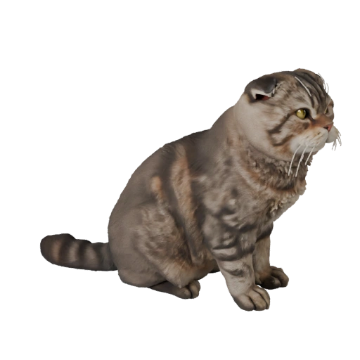 Modèle 3D Scottish Fold Haute Poly - Atout STL Détaillé pour Impression