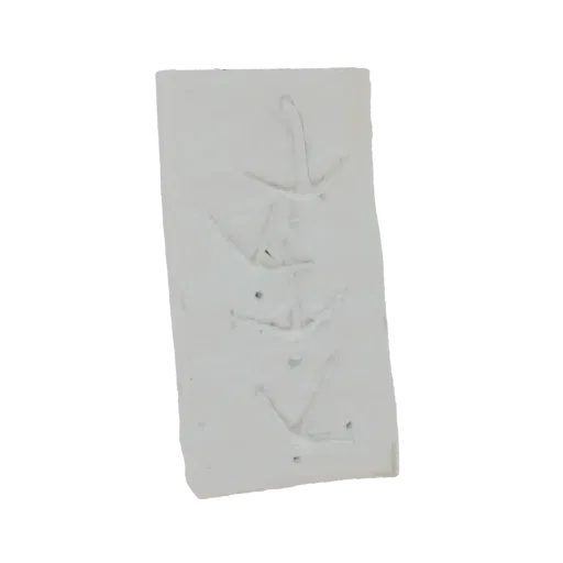 3D model of a rectangular plaque with carved ancient bird tracks, presented on a black background.