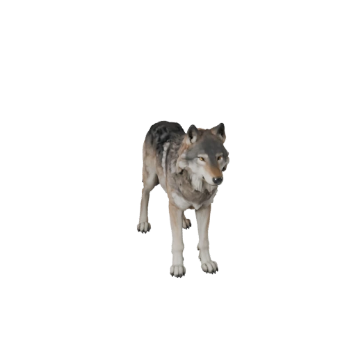 Modello 3D Lupo per Blender - Asset PBR con Texture | Royalty-Free