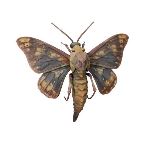 Luna Moth 3D Model for Blender - PBR Asset with Textures | PBR