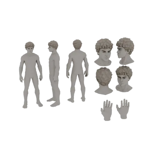3D-Modell eines jungen Mannes mit lockigem Haar, von vorne, Seite und hinten gezeigt, mit separaten Kopf- und Handmodellen.