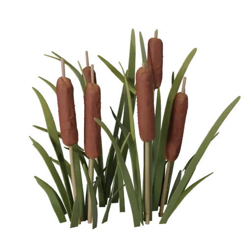 Reed And Cattail Bank High Poly 3D model, close-up cinematic environment render, showing leaf clusters, terrain detail.